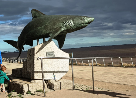 IMG_20250910_161802X1.jpg, sept. 2025