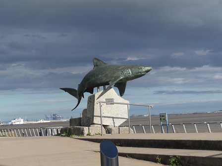 P1110243X1.JPG, sept. 2025