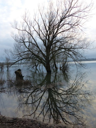 136082425_1123280874776627_7577260899061634261_n.jpg, févr. 2024