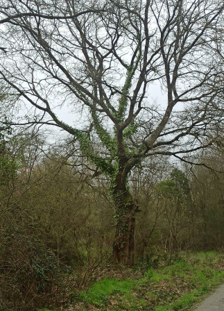 337174095_125756757131366_4513159409665420931_n.jpg, avr. 2024