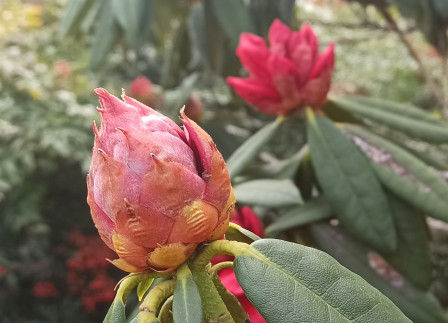 338886929_129828863351388_7669124647916587570_n.jpg, mars 2024