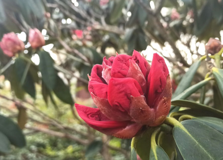 338954701_601617551659306_8623694117031729177_n.jpg, mars 2024