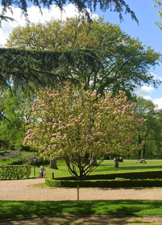 IMG_20230415_155027X2.jpg, avr. 2024