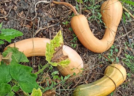 IMG_20230921_114048X2.jpg, sept. 2023