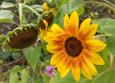 IMG_20230921_115544.jpg, sept. 2023