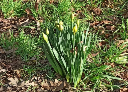 IMG_20240125_105021X1.jpg, janv. 2024