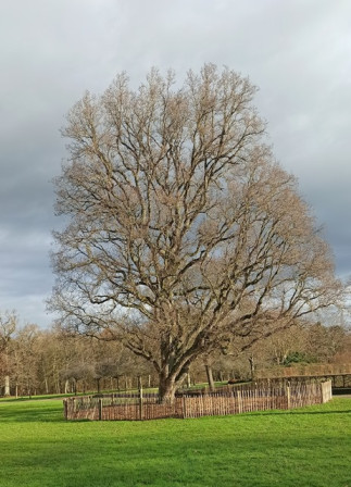 IMG_20240125_105437X2.jpg, janv. 2024