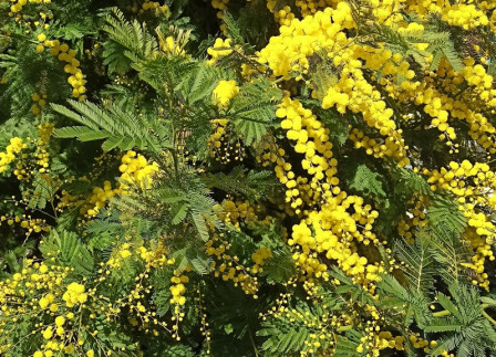 IMG_20240212_162653X2.jpg, févr. 2024