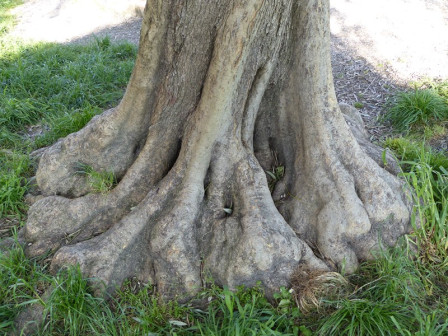 P1020492X1.JPG, juil. 2023