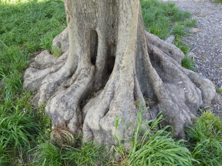 P1020493X2.JPG, juil. 2023