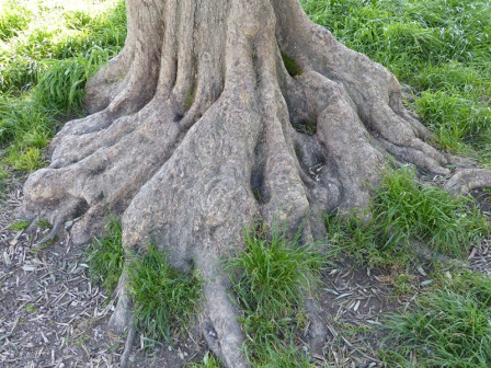 P1020496X1.JPG, juil. 2023