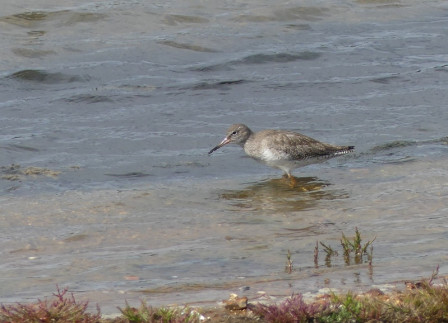 P1040907X1.JPG, oct. 2023