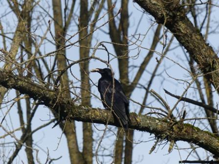 P1060298.JPG, févr. 2024