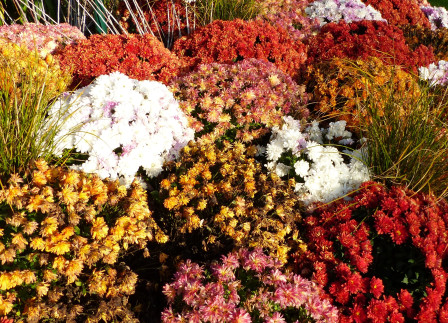 P1070056X1.JPG, oct. 2023