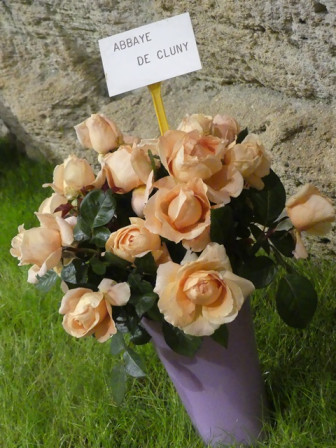 P1070676.JPG, juil. 2024