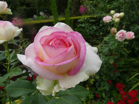 P1070987.JPG, juil. 2024