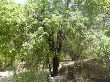 P1090426.JPG, avr. 2024