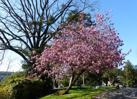 P1390695X2.JPG, avr. 2024