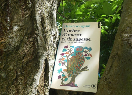 P1060689X2.JPG, mai 2024