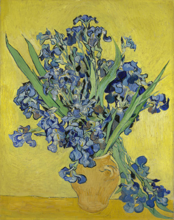 Irissen_-_s0050V1962_-_Van_Gogh_Museum.jpg, avr. 2024