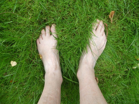 P1030550X1.JPG, août 2023