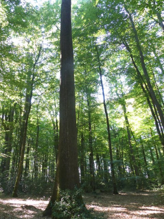 P1330951X1.JPG, juil. 2023