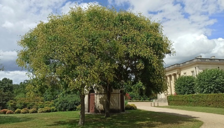 Pignerolle-IMG_20230729_152555.jpg, sept. 2024