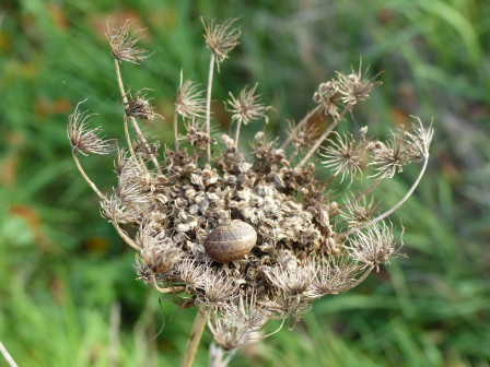 127184501_1095360967568618_4204191900895462233_n.jpg, déc. 2023