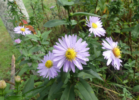 311609197_1554997958271581_3730806320810746168_n.jpg, oct. 2024