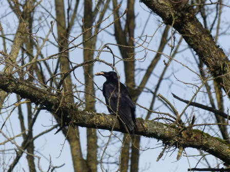 424648610_1848480168923357_3706816480164539407_n.jpg, févr. 2025