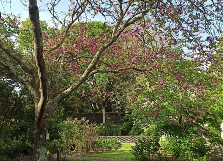 IMG_20250421_175739X2.jpg, avr. 2025