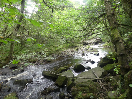 P1040747X1.JPG, août 2023