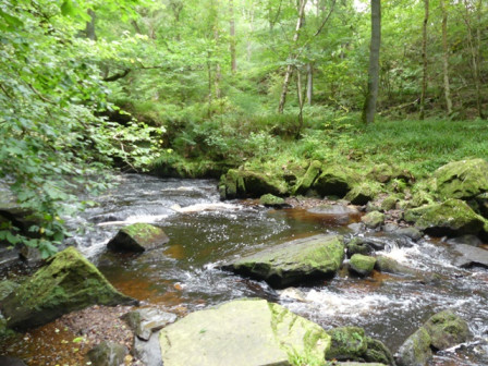 P1040751X1.JPG, août 2023