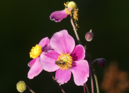 P1050712X22.JPG, oct. 2023