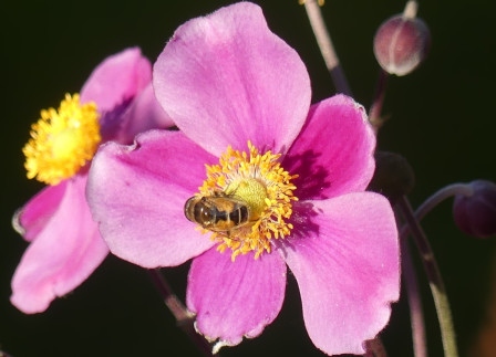 P1050712X24.JPG, oct. 2023