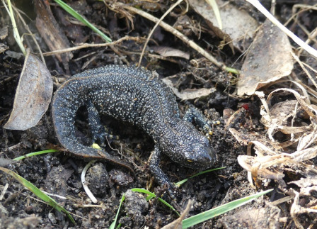 P1060479.JPG, mars 2024