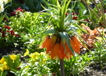 P1130313X1.JPG, avr. 2024