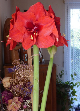 P1450385X5.JPG, janv. 2024