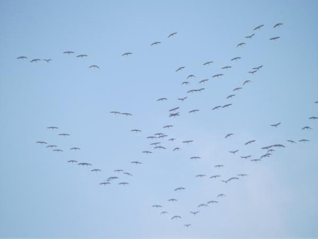 pN6S6wyDKA1iCH1cd7ekhLW0RZY@600x450.jpg, mars 2025