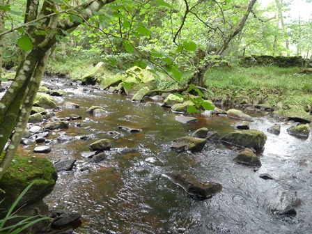 P1040748X1.JPG, août 2023