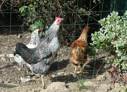 P1050735X1.JPG, oct. 2023