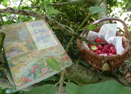 fraises-framboises-dans-l'arbre, juin 2012 fraises-framboises-dans-l'arbre