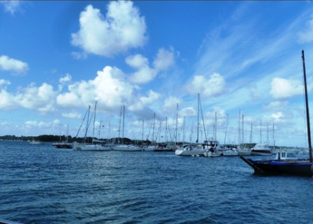 L-ile aux-moines-2012