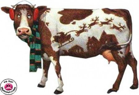 Vache-pere_Noel.jpg