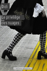 Didi Les curiosités de Didi