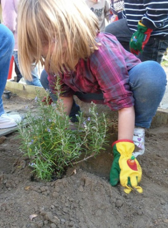 jardin-aromatique4, oct. 2011 jardin-pensees4