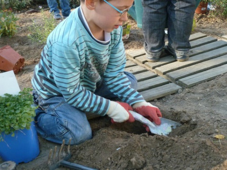 jardin-campanules, oct. 2011 jardin-campanules