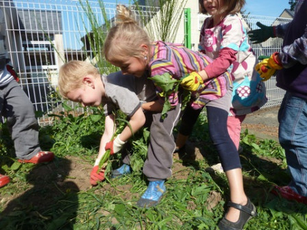 Jardinage-chaine4, sept. 2011 Jardinage-chaine4