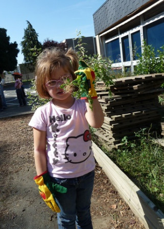 Jardinage-desherbage, sept. 2011 Jardinage-desherbage