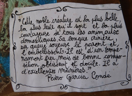 detail-noble-creature